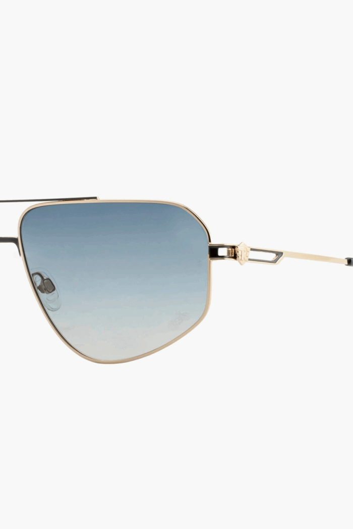 ROYAL ENFIELD Men UV Protected Aviator Sunglasses - RE-20015-C04 - Image 3