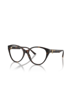 EYEGLASSES JIMMY CHOO JC 3009 (5002)