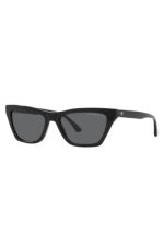 SUNGLASSES EMPORIO ARMANI EA 4169 (587587)