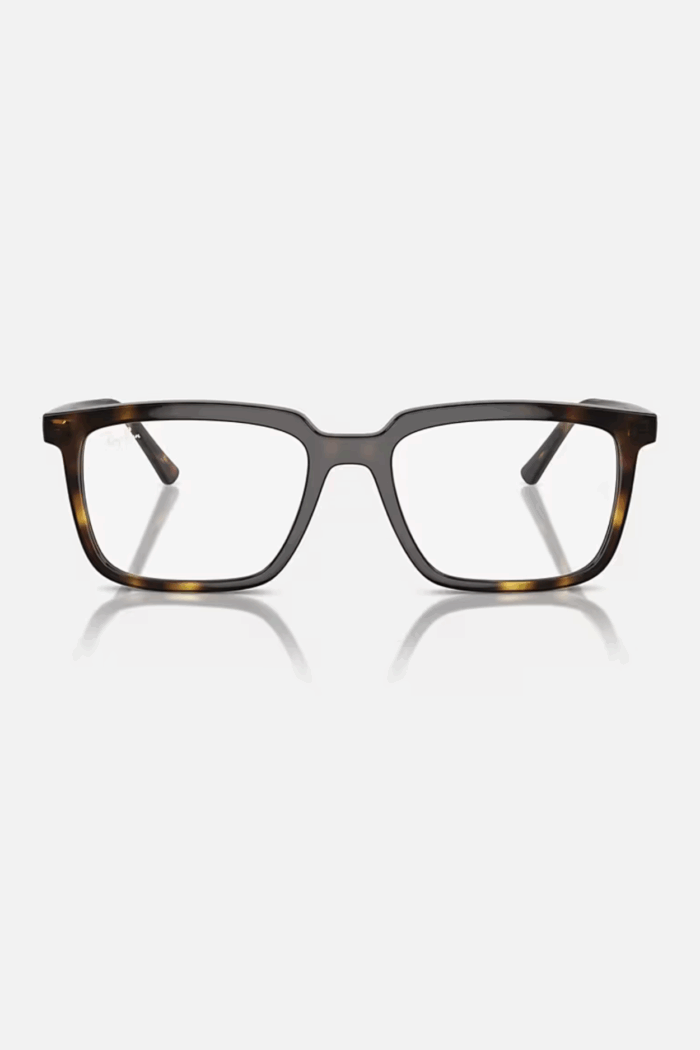 ALAIN OPTICS - Image 3