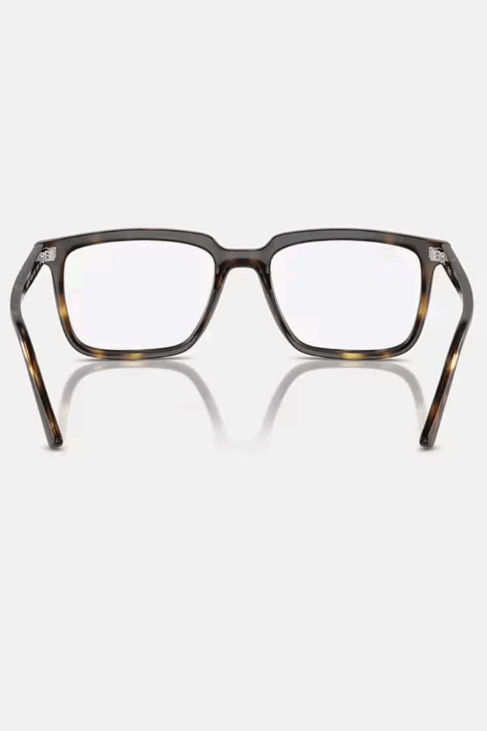 ALAIN OPTICS - Image 6