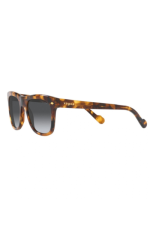 VOGUE VO 5465S - 2819T3 HAVANA HONEY | SUNGLASSES - Image 5