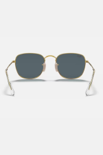 FRANK - Image 5