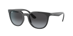 RAYBAN CASUAL CLASSIC RB 4381I 6185/8G - Image 5