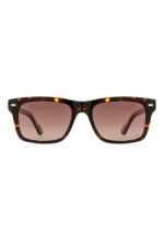 ROYAL ENFIELD Men Polarized Wayfarer Sunglasses - RE-20011-C03 - Image 4