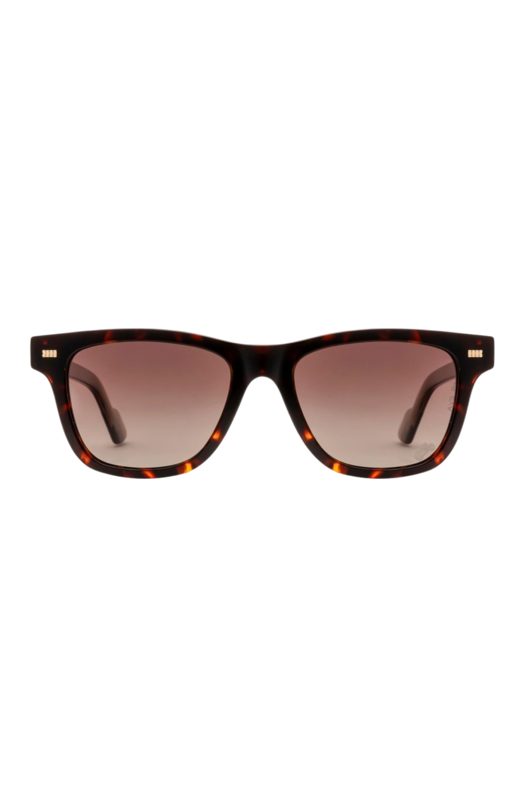 ROYAL ENFIELD Men Polarized Wayfarer Sunglasses - RE-20012-C03 - Image 2