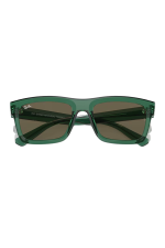Ray-Ban RB4396 Warren 6681/3
