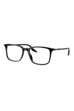 RB5421 OPTICS