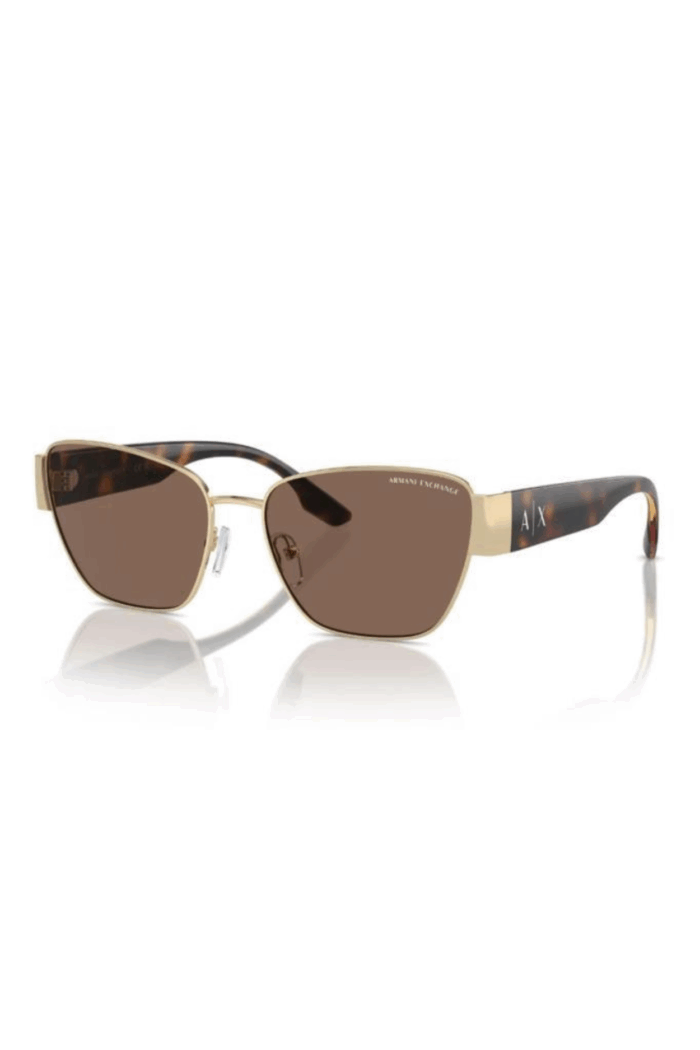 Armani Exchange AX 2051-S Sunglasses for Women - Stylish UV Protection | The Vision Factory - Image 1