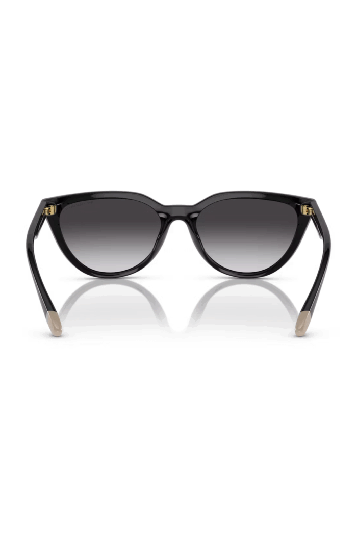 Armani Exchange AX 4130SU Sunglasses - Stylish UV Protection | The Vision Factory - Image 3