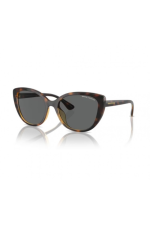Armani Exchange AX 4111SU Sunglasses - Style Meets Protection | The Vision Factory
