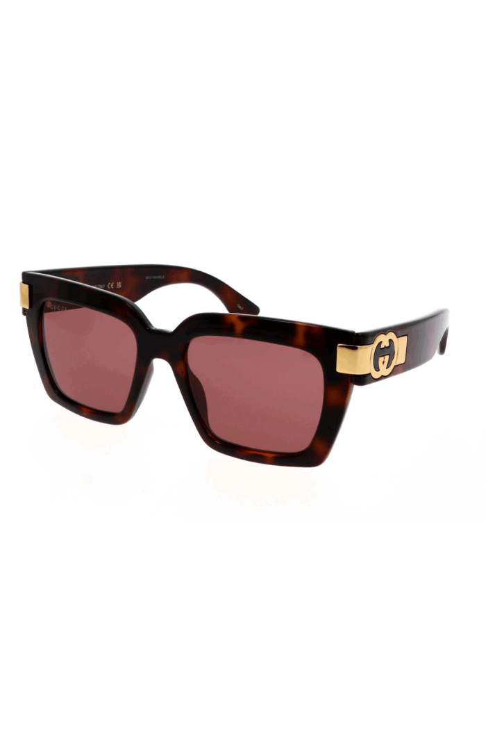 Sunglasses Gucci Gg logo GG1689S 002 54-19 Havana - Image 1