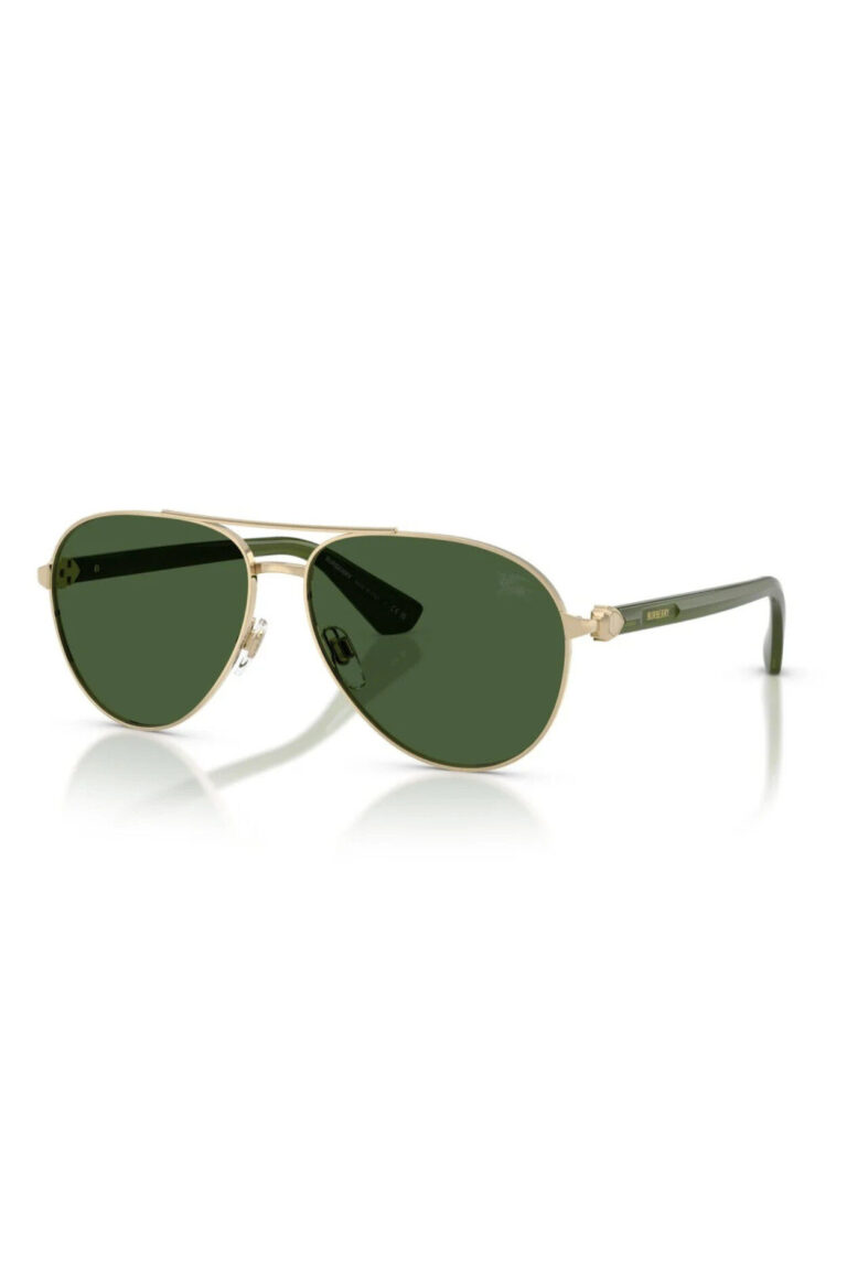Sunglasses Burberry BE 3167 (110971) - Image 1