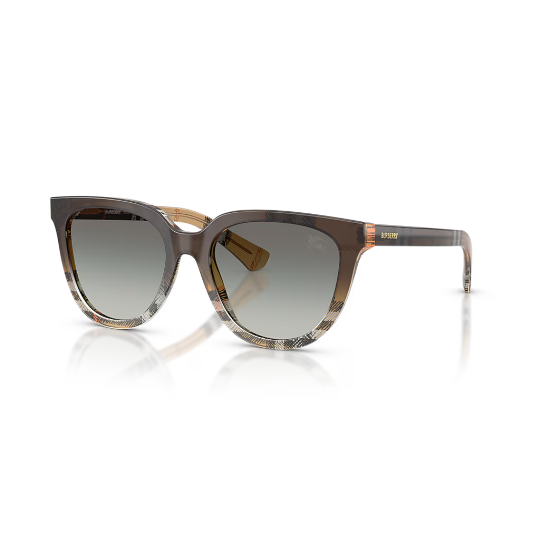 Sunglasses Burberry BE 4469 (420211)