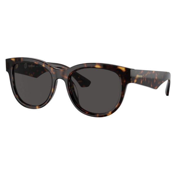 Sunglasses Burberry BE4432U 3002/87 54-19 Dark havana