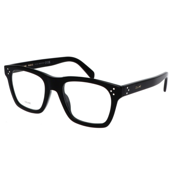 CELINE Model: TS-CE RX 50119I