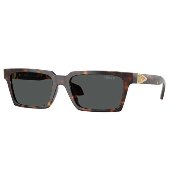 Versace VE4490U 108/87