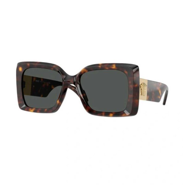 SUNGLASSES VERSACE VE 4467U (108/87)