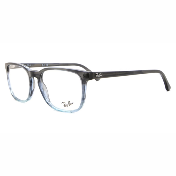 RB5418 OPTICS