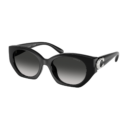 Coach Sunglasses HC8407U 50023C