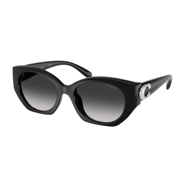 Coach Sunglasses HC8407U 50023C