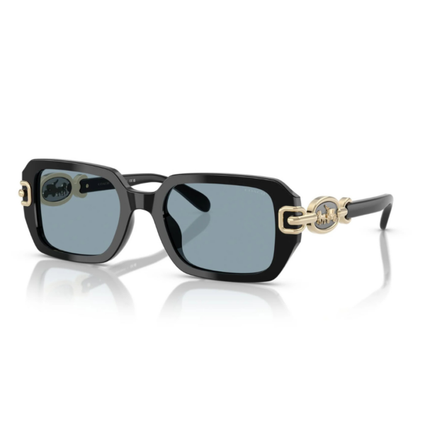 COACH HC8425U 500272 52 SUNGLASSES