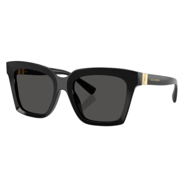 Dolce & Gabbana 4498 501/87 55