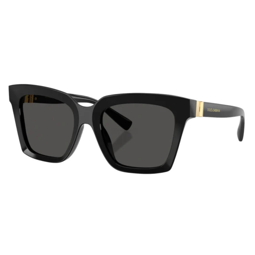Dolce & Gabbana 4498 501/87 55