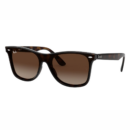 BLAZE WAYFARER