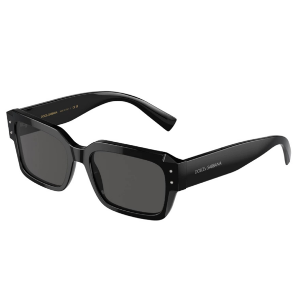 DOLCE & GABBANA DG 4460 - 501/87 BLACK | SUNGLASSES MAN