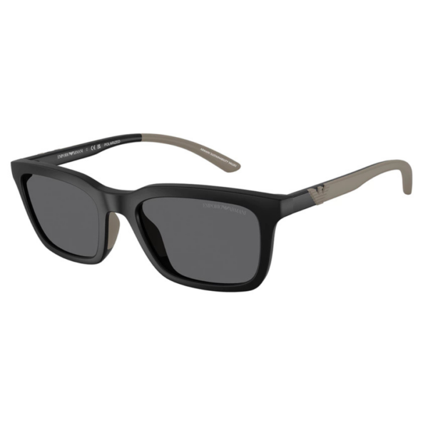 Sunglasses Emporio Armani EA 4249U (500181)