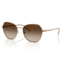 Sunglasses Emporio Armani EA 2161 (340013)