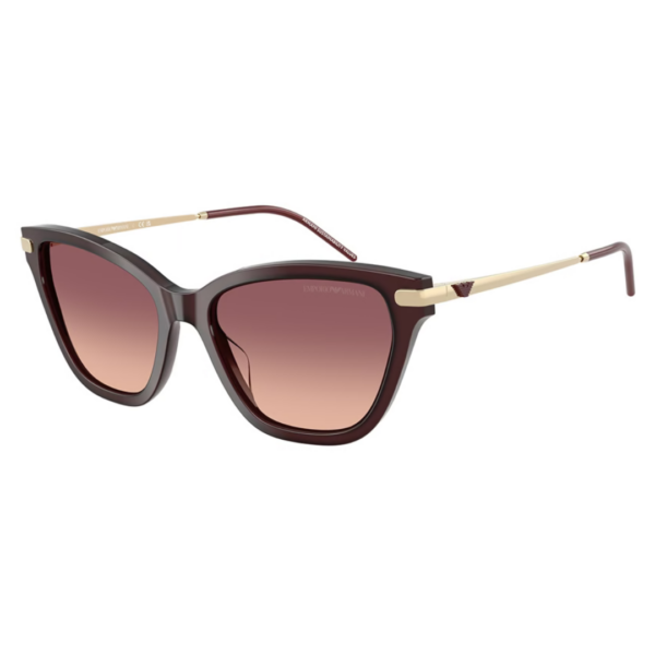 Sunglasses Emporio Armani EA 4251 (62658D)