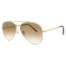 NEW AVIATOR