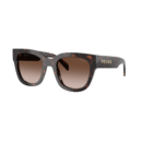 Sunglasses Prada PR C04S 17N-80A 52-22 Root tortoise