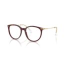 Swarovski SK 2009 - 1008 Burgundy | Eyeglasses Woman